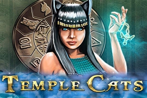 06195 temple cats